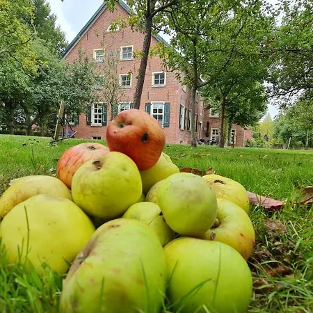 Gulfhof Boomgaarden 13 Edzard Lejlighed Krummhörn