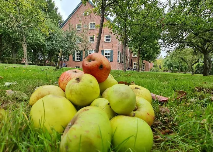 Gulfhof Boomgaarden Boomgaarden 13 Edzard Lejlighed Krummhörn